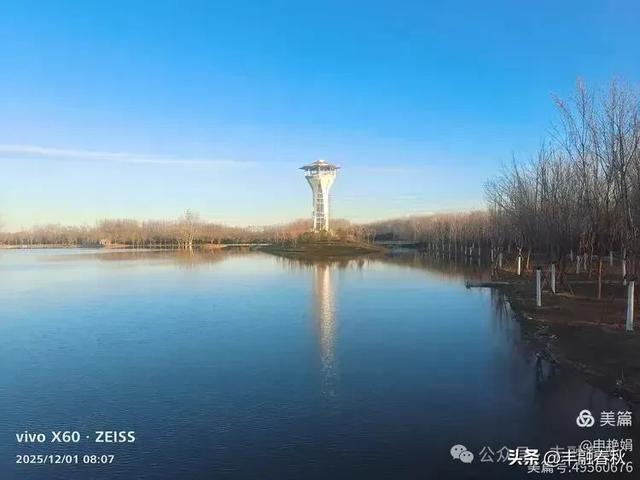 初冬北京朝阳坝河金盏淀:清寒里的静美画卷|申艳娟