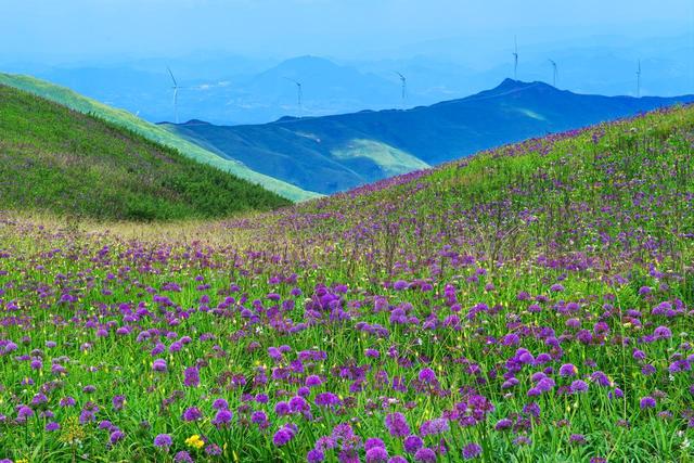 反向旅游，避开人挤人，选这5个地方，游玩更松弛，体验感翻倍