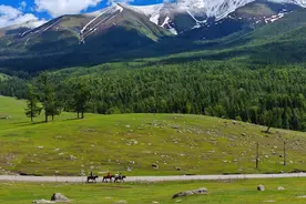 阿勒泰地区，曾是外蒙古的一部分，为何最后却留在了新疆？图片