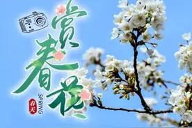 走~去春游！长治这些地方藏着别样春意图片