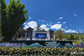 今年上半年，丽江市接待海外游客达到28.97万人次图片