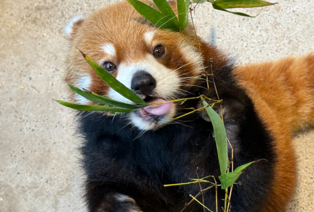 看渝超，逛两江！两江新区景区5折优惠来袭→