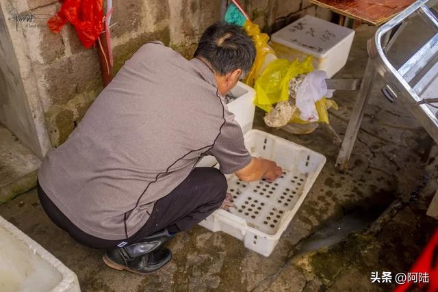 霞浦松山有条一公里长的旧街老巷，两边民宿林立，足足有168家