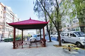 老曹“搬家记”图片