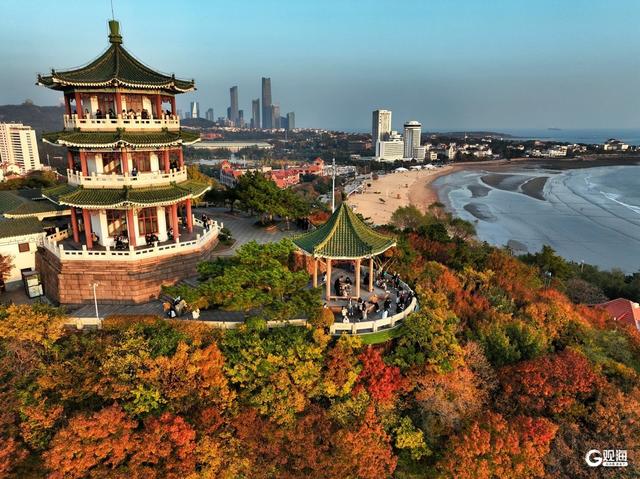 来青岛这里欣赏“秋景未尽”的诗意