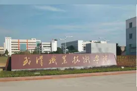 2024年湖北高职院校排名：武职第1，武汉船院第2，襄阳职院第3图片