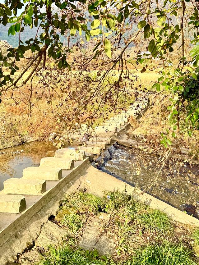 追着晚秋(黟县宏村镇塔川村)