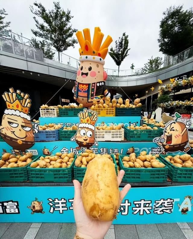 昆区国庆消费盛宴启幕！优惠、活动、福利全攻略→