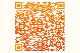 2025年高校艺术类本科招生专业与各省统考子科类对应要求汇总图片