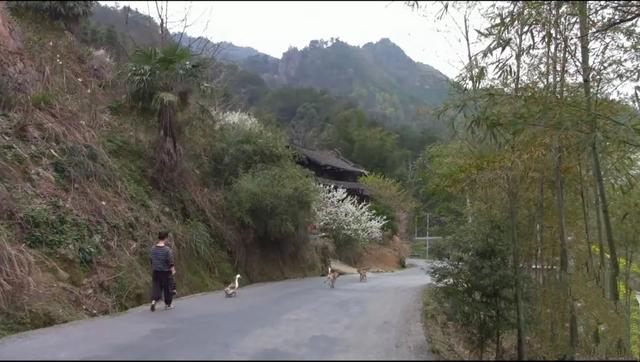 山居这些年，探访过无数苗族村寨，除了羡慕还是羡慕