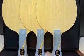 揭秘乒乓球底板之谜：内置VS外置，哪种更适合你？图片