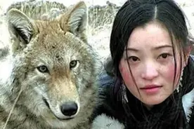 2010年，四川女孩养狼做"儿子"，10年后在草原相认，现状如何了？图片