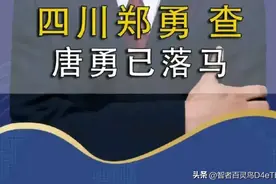 突发！四川一69岁贪官退休九年落网，手里掌控过上千亿的投资项目图片
