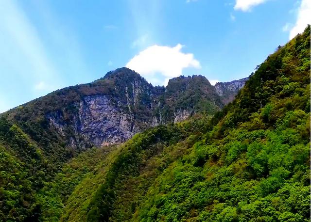 地名里的重庆 | “重庆第一峰”阴条岭：2796.8米之巅藏秘境