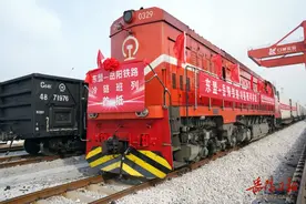 东盟至岳阳首趟冷链班列抵岳图片