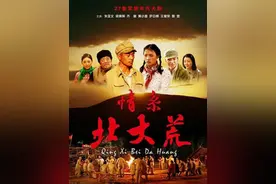 年代剧《情系北大荒》朱亚文、萨日娜、黄小蕾、梁林琳、齐奎主演图片