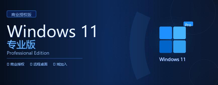 win11专业版