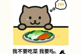 深度长文!详解胖猫事件全程、亲属发声、谭某语音采访、商家道歉图片