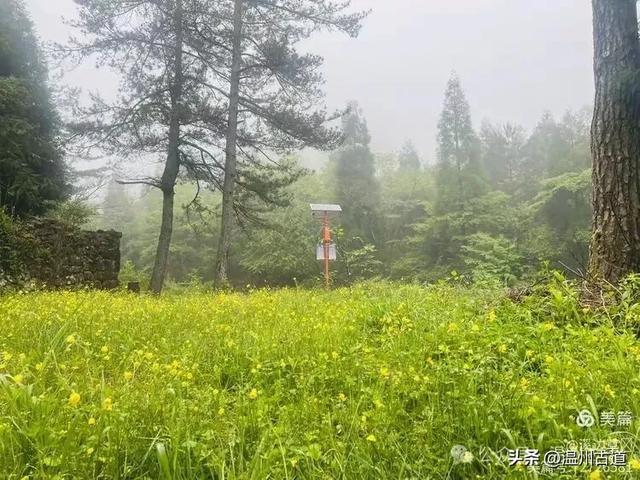 浙江隐藏一座“小黄山”,风光绝美还没门票,秋日徒步好去处!