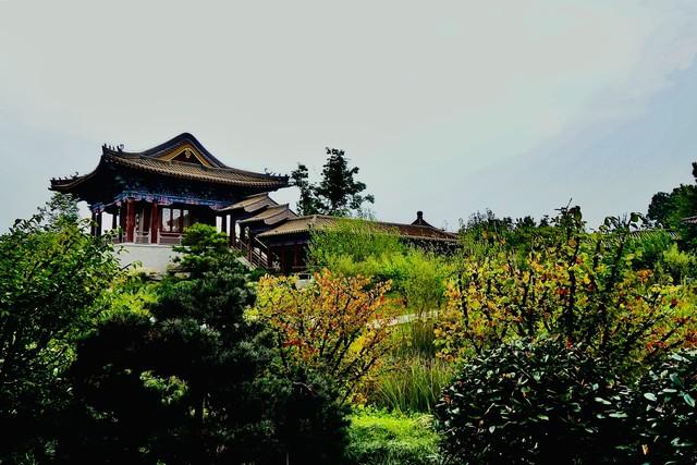 寻访“消失的花博会”，我在郑州发现了这些宝藏园林