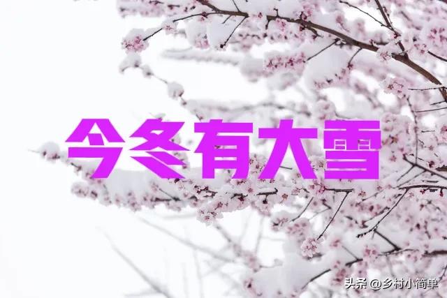 “大雪来不来，就看小雪”，今日小雪，今冬有大雪？