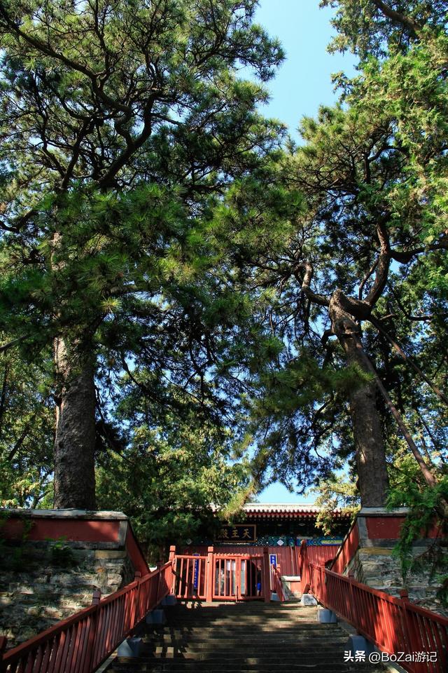 打卡香山寺，800年古松伴殿宇，10元超值！