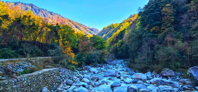 看满山红叶来这里，离广元2仅小时，3条线路任你玩，人少景美！