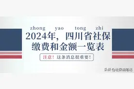 2024年四川企业职工和灵活就业人员：社保缴费标准一览！建议收藏图片