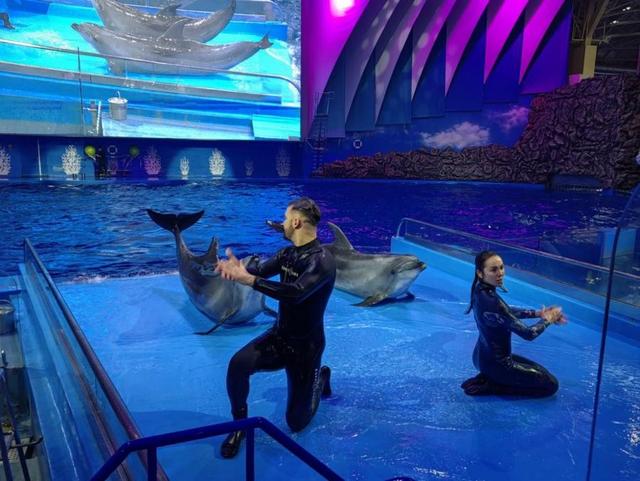 合肥（尧泰汉海）海洋世界与您共迎国庆、同庆中秋！