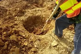 南瓜、丝瓜要高产，使用“一早一晚，一多一少”的措施是关键图片