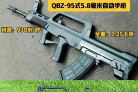 排名世界十大名枪图片