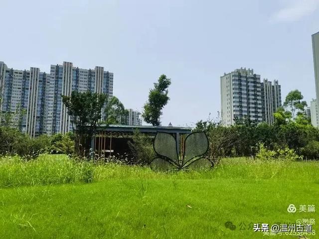 这个集休闲娱乐、运动和生态功能于一体的大型公园你可去过？