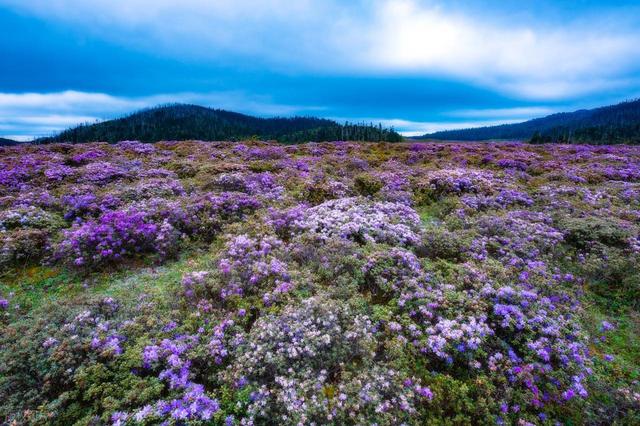 五一假期反向旅行，8个人少的目的地，风景渐入最佳观赏期