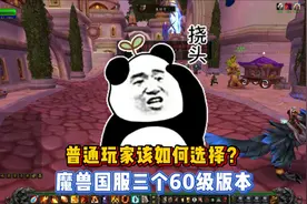 魔兽国服即将开放的三个60级版本，普通玩家该如何选择？图片
