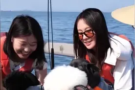 @爱宠人士 出行游玩全升级 快来开启“携宠出行”新体验图片