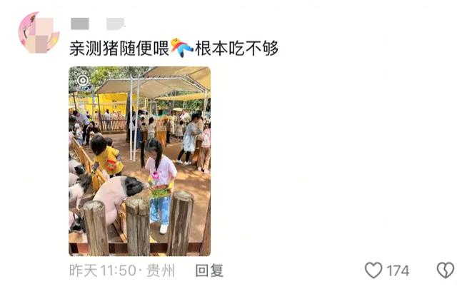 笑麻了！国庆的动物们都吃出工伤了！一看评论区动物们都EMO 了