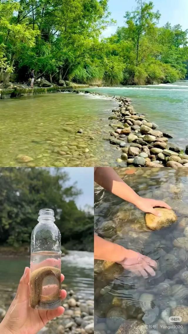 全免费！成都周边30min玩水抓螃蟹、露营野餐钓鱼烧烤！轻松安逸周末快冲！