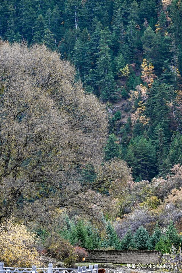 古意秋风三万里（D30）-从迭部到松潘