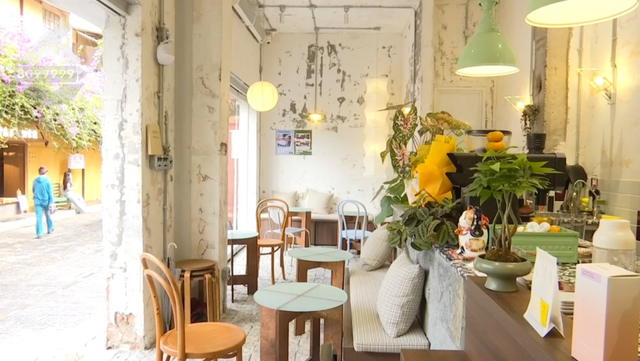 昆明冬日氛围感拉满！跟着香港明星足球队，解锁翠湖海鸥+梧桐黄墙的浪漫剧本