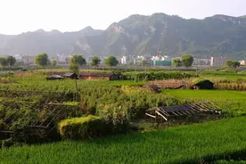 父母留下的房子该怎么继承？事关农村宅基地，5个问题说清楚！图片