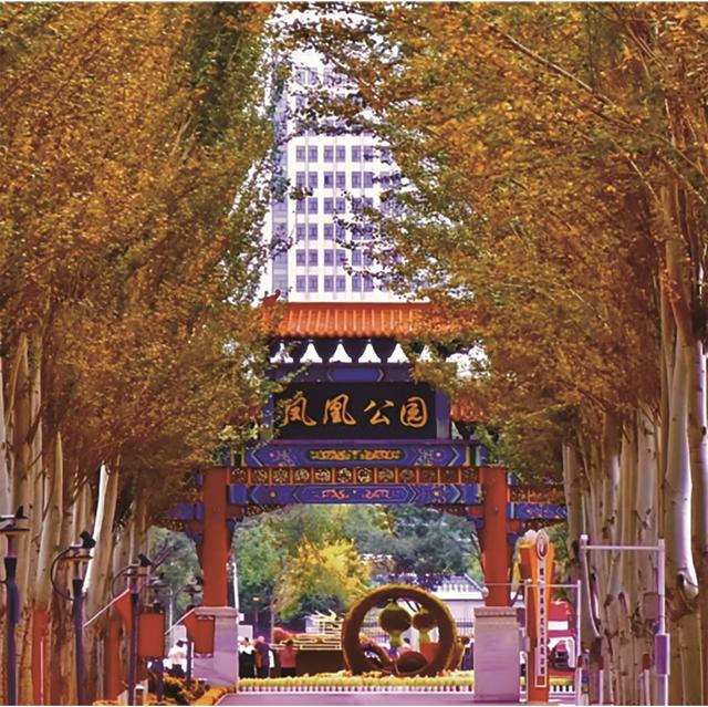 一园一景一花事花漾 银川这份赏花月历让你从春“美”到秋