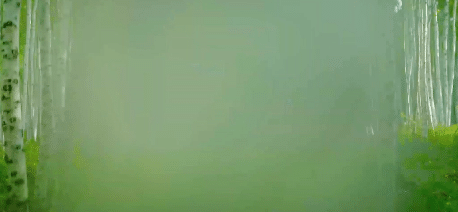 @准大学生 龙江游玩副本加载中！请各位萌新速来打卡
