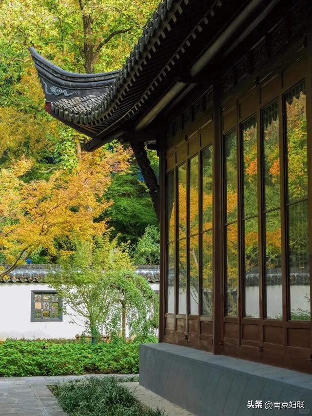 南京这些“魔法之窗”，怎么拍都出片！