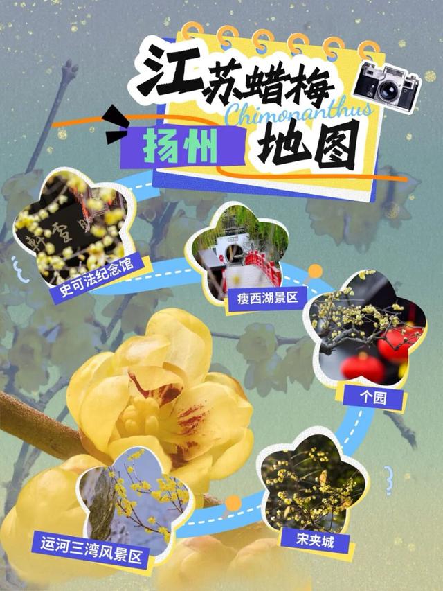 “第一缕冬香”！瘦西湖等入选“水韵江苏”蜡梅地图