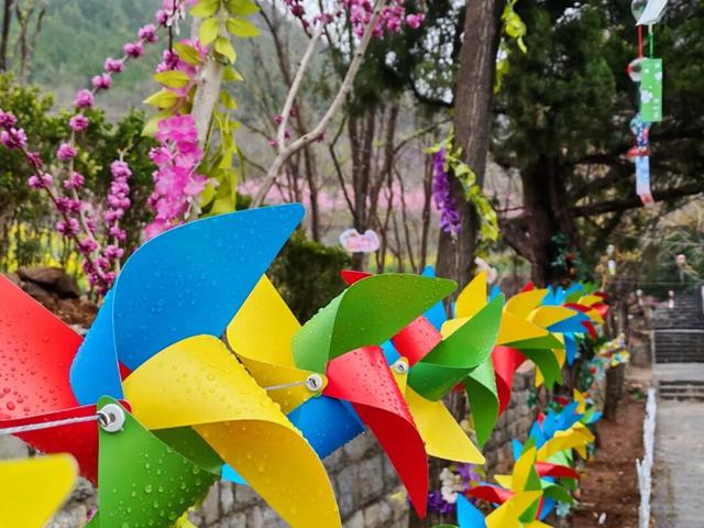 春风裂谷·花漾寻野 | 清明假期，熊耳山邀你共赴一场江湖侠梦！