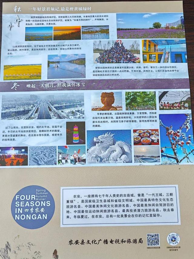 免费！旅游大巴就位！看完航空展开逛~