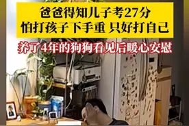 儿子考27分爸爸气到狂扇自己耳光，最后狗狗暖心安慰图片