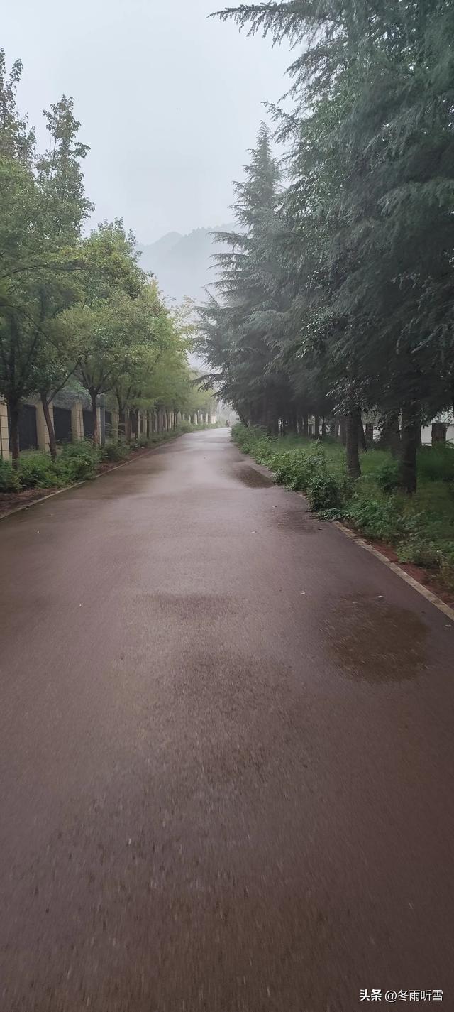 秋日微醺，骑行奔赴一场与风的约会