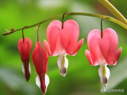 晚年苦不苦，全看七十五：这4手备好，余生安稳舒心