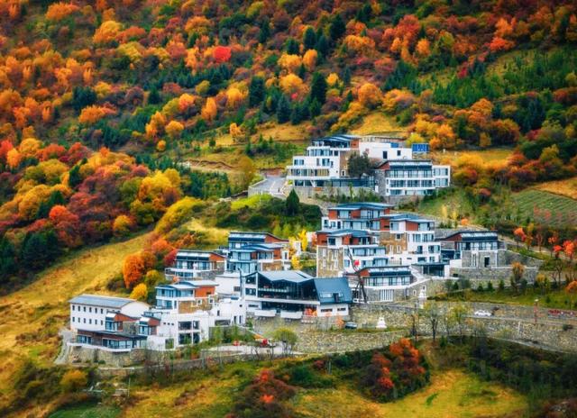 千里相约，山水相逢！黑水文旅亮相上海！这场推介太圈粉了→